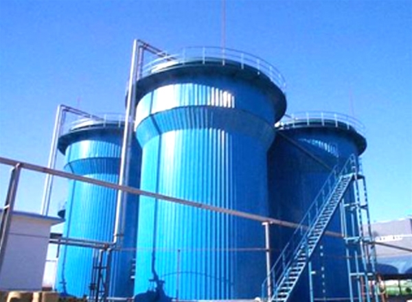 Type anaerobic sludge bed reactor